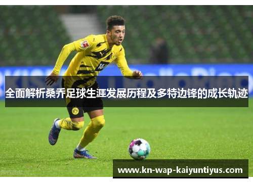 全面解析桑乔足球生涯发展历程及多特边锋的成长轨迹