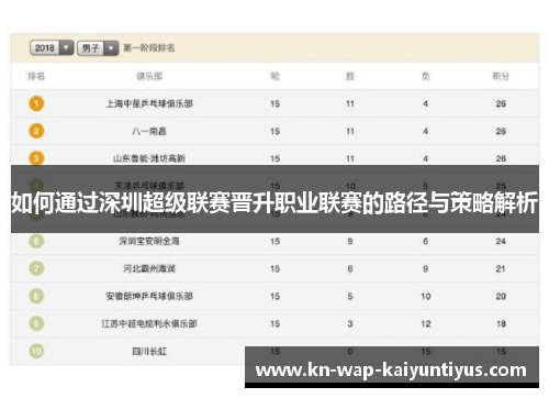 如何通过深圳超级联赛晋升职业联赛的路径与策略解析