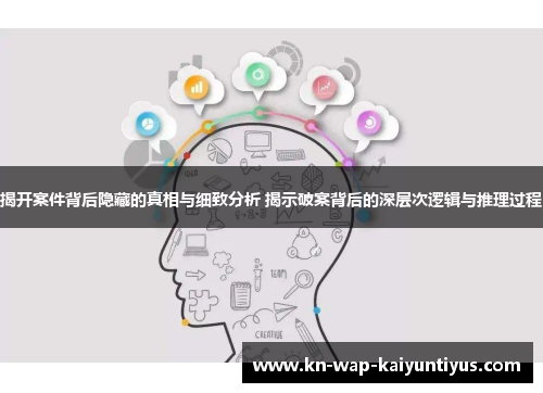 揭开案件背后隐藏的真相与细致分析 揭示破案背后的深层次逻辑与推理过程