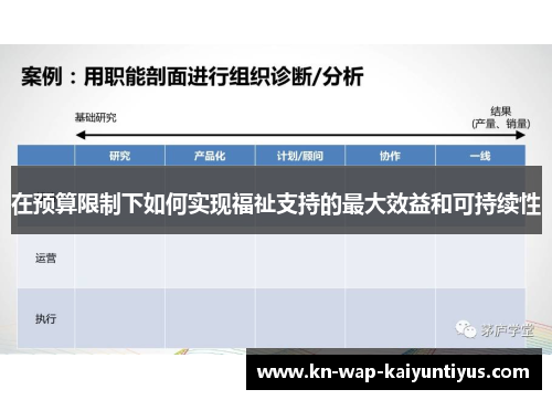 在预算限制下如何实现福祉支持的最大效益和可持续性