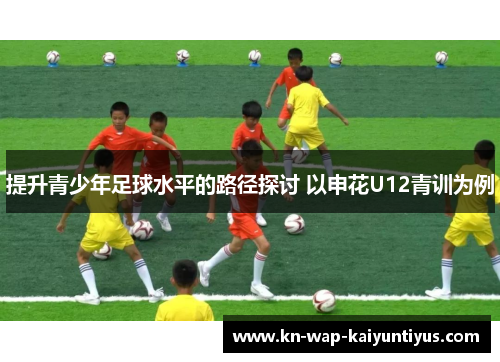 提升青少年足球水平的路径探讨 以申花U12青训为例