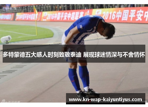 多特蒙德五大感人时刻致敬泰迪 展现球迷情深与不舍情怀