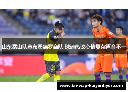 山东泰山队宣布桑德罗离队 球迷热议心情复杂声音不一