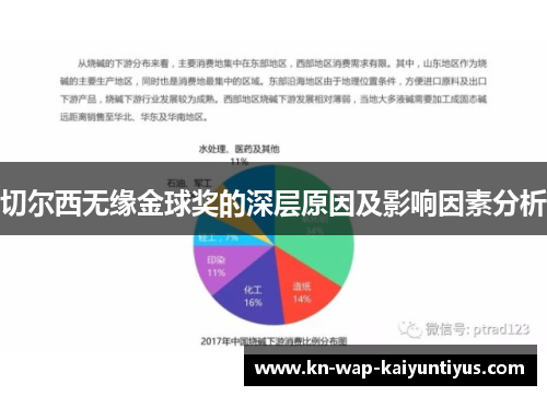 切尔西无缘金球奖的深层原因及影响因素分析