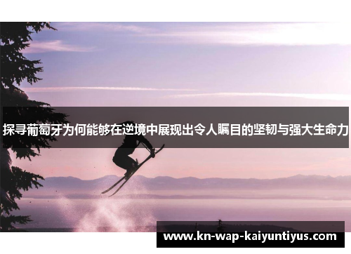 探寻葡萄牙为何能够在逆境中展现出令人瞩目的坚韧与强大生命力