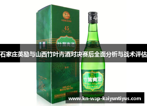 石家庄英励与山西竹叶青酒对决赛后全面分析与战术评估