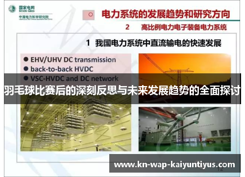 羽毛球比赛后的深刻反思与未来发展趋势的全面探讨