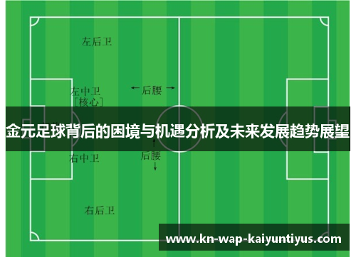 金元足球背后的困境与机遇分析及未来发展趋势展望