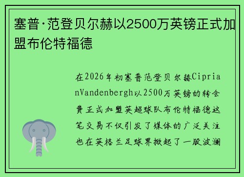 塞普·范登贝尔赫以2500万英镑正式加盟布伦特福德 塞普·范登贝尔赫以2500万英镑正式加盟布伦特福德