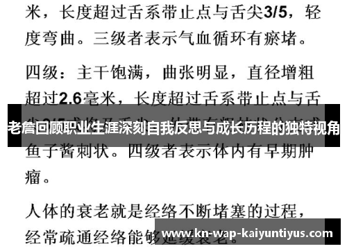 老詹回顾职业生涯深刻自我反思与成长历程的独特视角